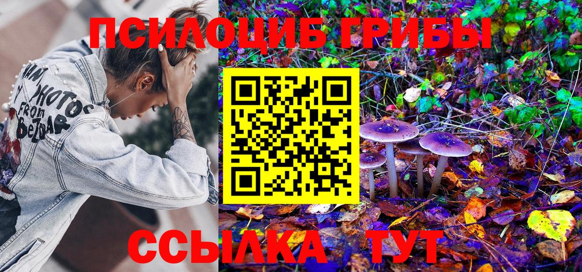 Галлюциногенные грибы прущие грибы Арзамас
