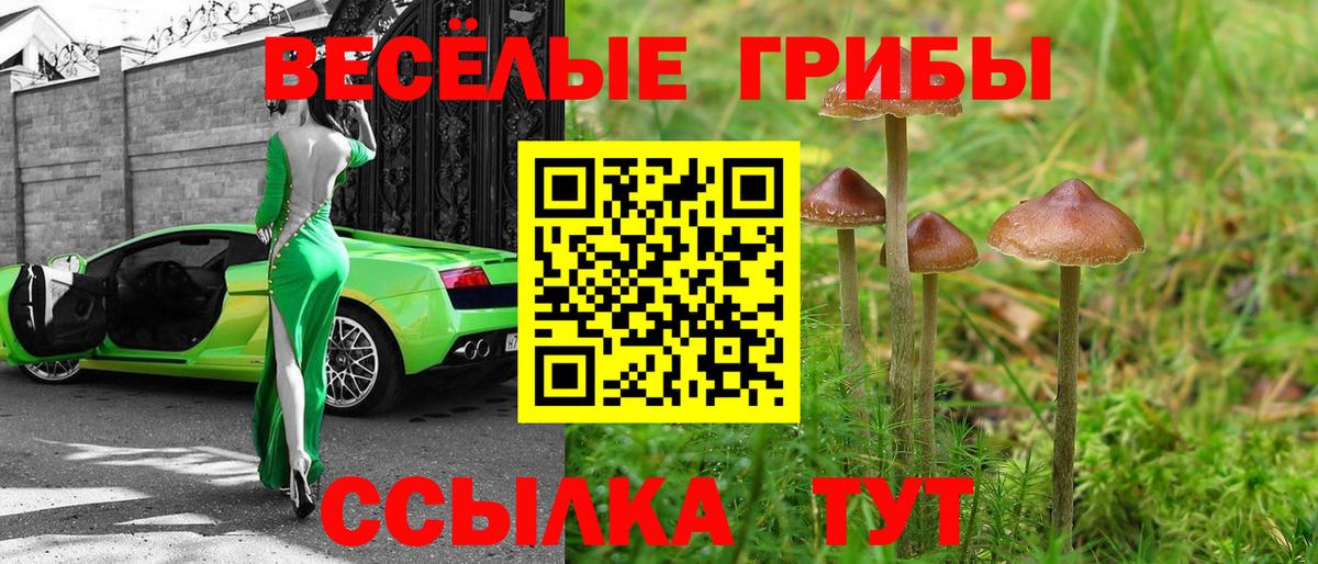 Галлюциногенные грибы ЛСД  Вход с VPN  Арзамас  Псилоцибиновые грибы Psilocybe 